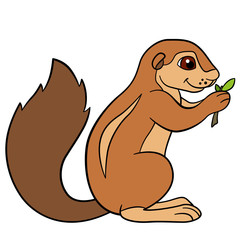 Cartoon animals. Little cute xerus eats leaves.