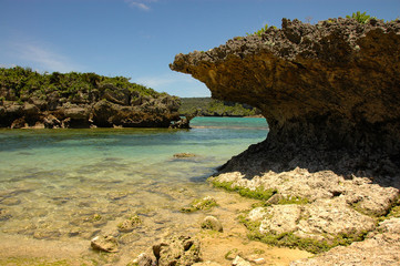 Fototapeta premium 海辺の景色