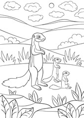 Coloring pages. Mother xerus with her little babies.