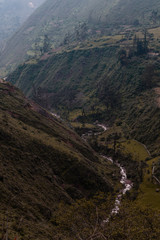 Montañas - Paisaje - Green - Pasto - plantas