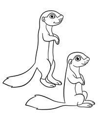 Coloring pages. Two little cute babies xerus.