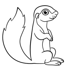 Coloring pages. Little cute baby xerus smiles.