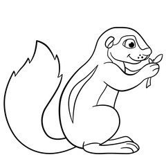 Coloring pages. Little cute xerus eats leaves.