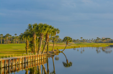 Palm trees on Lake Vedra. Ponte Vedra Beach, Florida