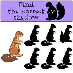 Educational game: Find the correct shadow. Little cute xerus.
