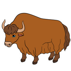 Cartoon animals. Cute beautiful yak smiles.