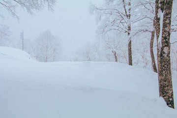 Landscape and Mountain view of Nozawa Onsen in winter , Nagano, Japan.