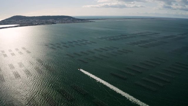 Wake from a fast small fishermen motorboat in the Etang de Thau with Sète in background Aerial view sunny day