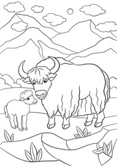 Coloring pages. Beautiful yak with little baby yak.