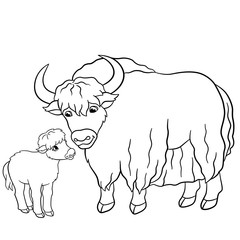 Coloring pages. Beautiful yak with little baby yak.