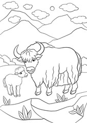 Coloring pages. Beautiful yak with little baby yak.