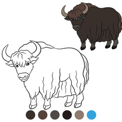 Color me: yak. Cute beautiful yak smiles.