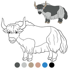 Color me: yak. Cute beautiful yak smiles.