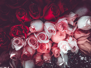 flowers wall background with amazing roses, vintage style