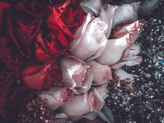 flowers wall background with amazing roses, vintage style