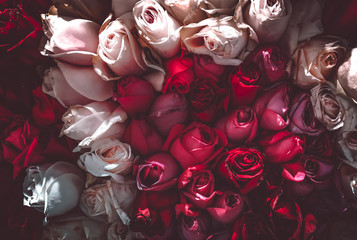 Blumenwandhintergrund mit erstaunlichen Rosen, Vintage-Stil © joeycheung