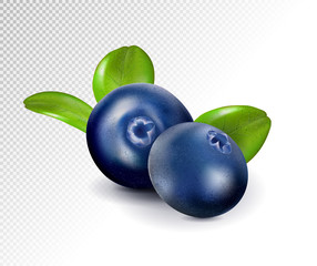 Blueberries isolated on white background. Quality realistic vector, 3d illustration