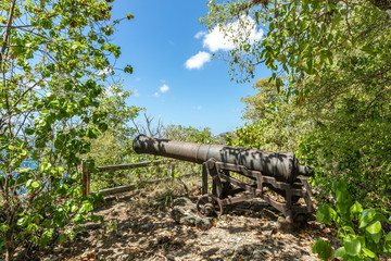 Saint Vincent and the Grenadines, fort Fort Duvernette, old cannon