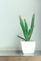 Cactus that is in a white square pot on the floor of a wooden floor that is beautifully decorated.