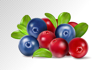Isolated berries. Pile of fresh cranberry and blueberry fruits isolated on transparent background