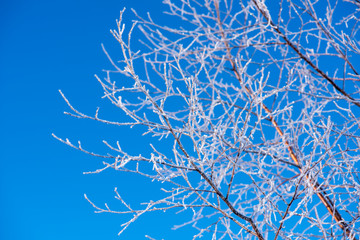 abstract background with snowflakes