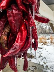 Fototapeta na wymiar Frozen Ristra Red Chiles Peppers of New Mexico