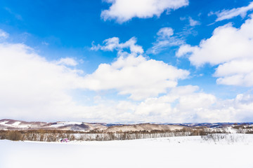 Beautiful outdoor nature landscape with tree in snow winter season at Hokkaido