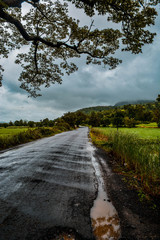 road in the countryside