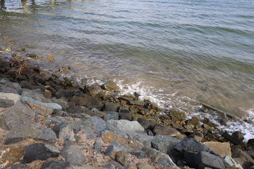 Rocky Shore in San Diego