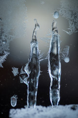 Ice Sculpture Conversation