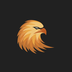 Fototapeta premium Eagle Head Logo Designs