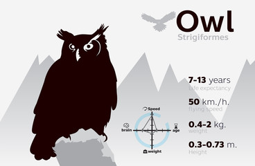 information illustration of owl on a background vector 10