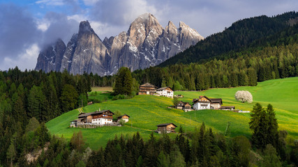 Beautiful landscape in the Alps. Santa Maddalena, Val Di Funes, Dolomites, Italy. Green meadow.