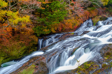 Ryuzu waterfall (Ryuzu no taki )or dragon head waterfall, water fall located on Yukawa River in Nikko national park, Japan, many trees which turn yellow and red during the autumn leaf season in Japan.