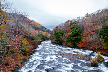Ryuzu waterfall (Ryuzu no taki )or dragon head waterfall, water fall located on Yukawa River in Nikko national park, Japan, many trees which turn yellow and red during the autumn leaf season in Japan.