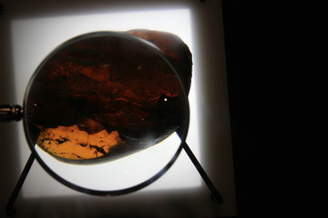 Stone of the amber
