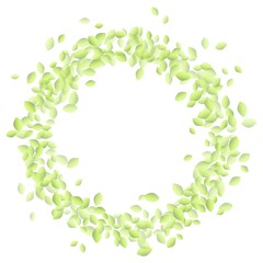 Green leaves in a shape of circle ornament. Eco vegan isolated vector image