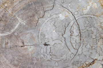 Wood table floor with natural pattern texture. Empty template  wood board can be used as background.