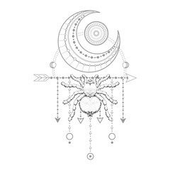 Vector illustration with hand drawn spider and Sacred geometric symbol on white background. Abstract mystic sign. Black linear shape. For you design, tattoo or magic craft.