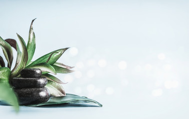 Stack of black hot stones with green leaves at light blue background with bokeh. Massage treatment...