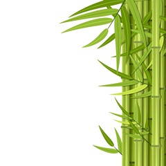 Fototapeta na wymiar Vector green bamboo stems and leaves isolated on white background with copy space. Vector illustration in flat style
