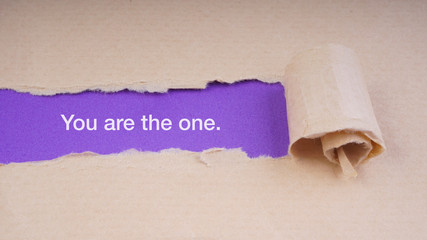 YOU ARE THE ONE text on brown envelope and torn paper. Concept Image