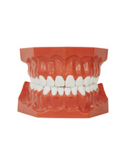 Dental tools on isolated white background