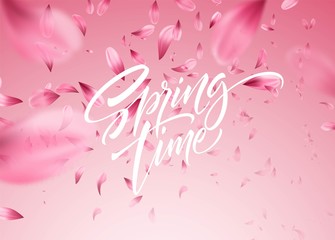 Cherry blossom petal background with Spring time lettering. Vector illustration