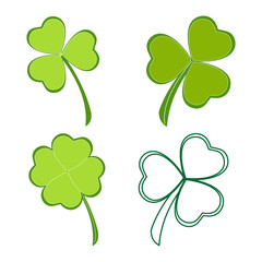 Realistic shamrock clover on a white background