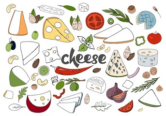 Hand drawn vector set with different types of cheeses, spices and nuts i