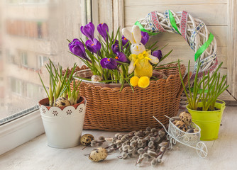 Easter composition with toy rabbit and purple crocuses blooming in a pot next to a bouquet of a willow on a window (mass-produced products)