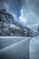 Obraz premium winter road and snow with landscape of trees with frost