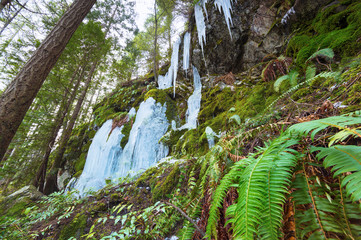 Frozen icy waterfalls in the Pacific North West rain forests of Bowen Island close to Vancouver British Columbia Canada.  Fine art photography.