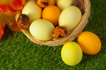 Easter Eggs with flower on Green Grass